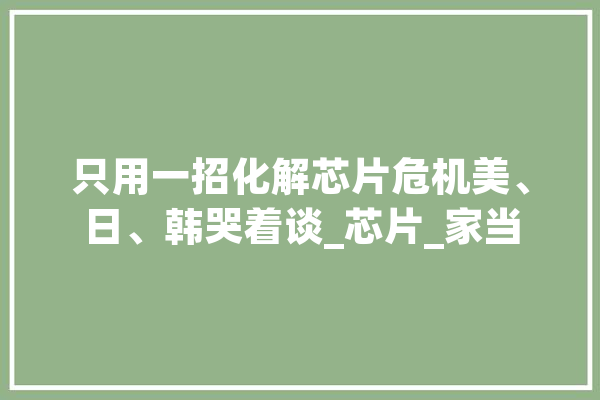 只用一招化解芯片危机美、日、韩哭着谈_芯片_家当 计算机