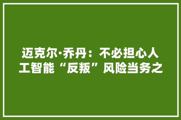迈克尔·乔丹：不必担心人工智能“反叛”风险当务之急是提高可托度_人工智能_可托度