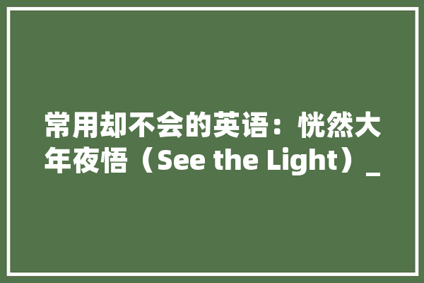常用却不会的英语：恍然大年夜悟（See the Light）_例句_恍然年夜悟 智能写作