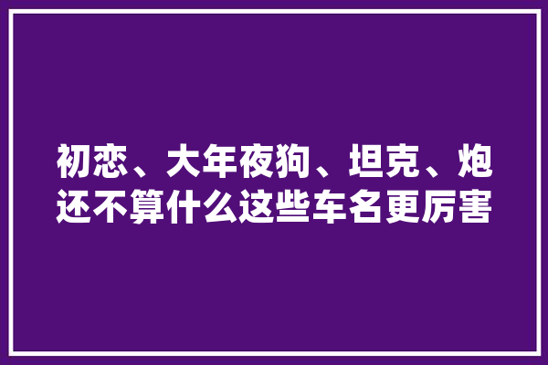 初恋、大年夜狗、坦克、炮还不算什么这些车名更厉害_新车_北京 AI简讯