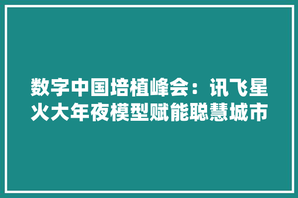 数字中国培植峰会：讯飞星火大年夜模型赋能聪慧城市高质量成长_利川_模子