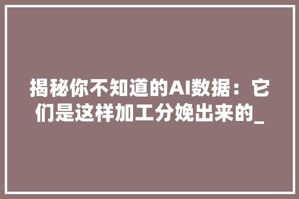 揭秘你不知道的AI数据：它们是这样加工分娩出来的_数据_人工智能 文字写作