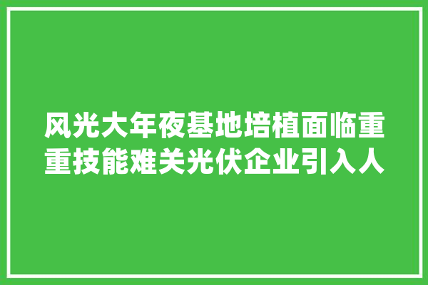 风光大年夜基地培植面临重重技能难关光伏企业引入人工智能算法_基地_电站