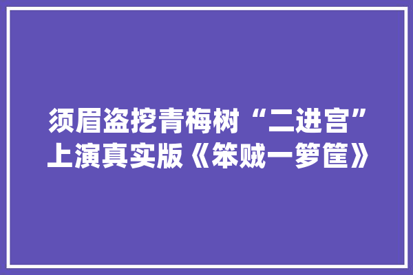 须眉盗挖青梅树“二进宫”上演真实版《笨贼一箩筐》PS：连成本都没赚回来……_青梅_建德市 AI快讯