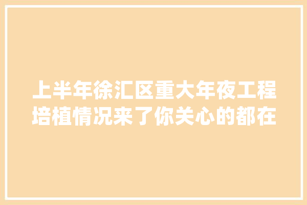 上半年徐汇区重大年夜工程培植情况来了你关心的都在这→_项目_地块