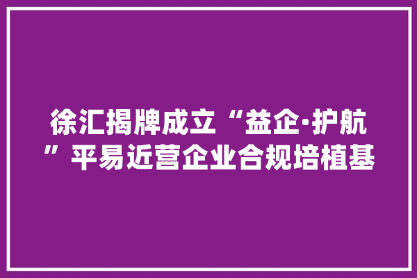 徐汇揭牌成立“益企·护航”平易近营企业合规培植基地！_徐汇区_企业