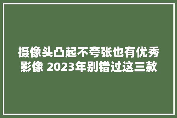 摄像头凸起不夸张也有优秀影像 2023年别错过这三款_镜头_像素
