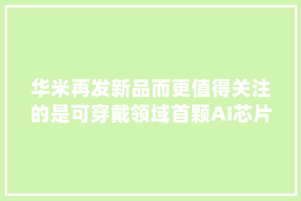 华米再发新品而更值得关注的是可穿戴领域首颗AI芯片“黄山1号”_黄山_手表 AI快讯