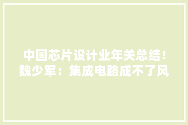 中国芯片设计业年关总结！魏少军：集成电路成不了风口上的猪_亿元_企业 云服务