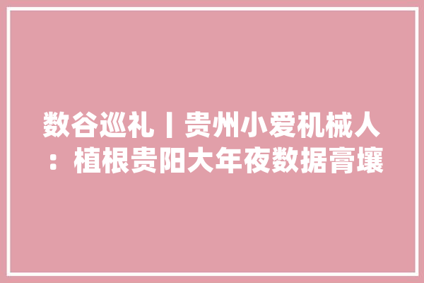 数谷巡礼丨贵州小爱机械人：植根贵阳大年夜数据膏壤 加快人工智能立异应用_贵阳_机械人 绘影字幕