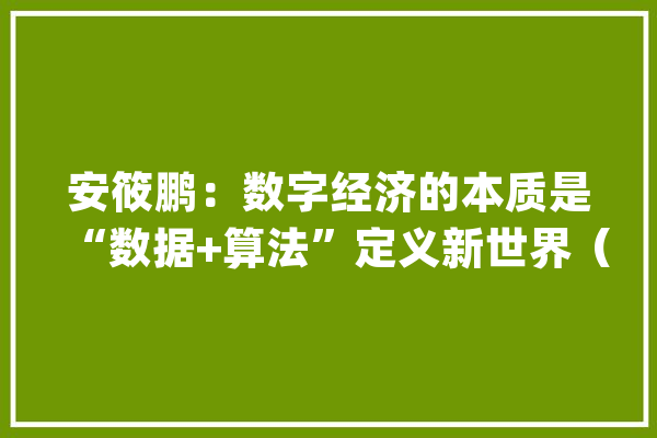 安筱鹏：数字经济的本质是“数据+算法”定义新世界（PPT收藏）_互联网_家当 绘影字幕
