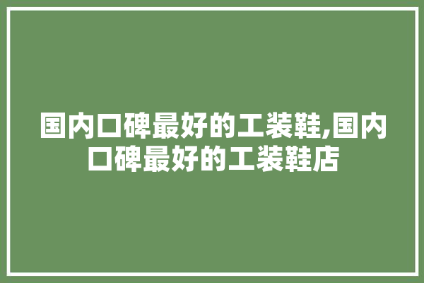 国内口碑最好的工装鞋,国内口碑最好的工装鞋店 智能助手