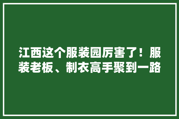 江西这个服装园厉害了！服装老板、制衣高手聚到一路了！_家当_于都 智能问答