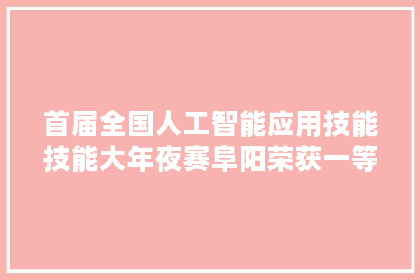首届全国人工智能应用技能技能大年夜赛阜阳荣获一等奖安徽省独一_阜阳_技巧