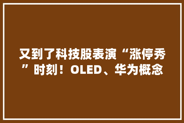 又到了科技股表演“涨停秀”时刻！OLED、华为概念、5G、人工智能等板块集体狂欢_华为_家当 文字写作
