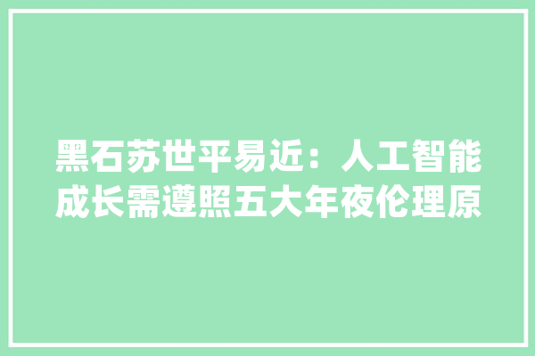 黑石苏世平易近：人工智能成长需遵照五大年夜伦理原则_人工智能_原则