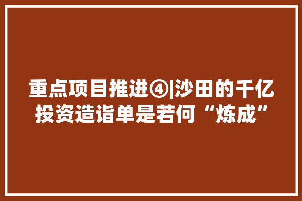 重点项目推进④|沙田的千亿投资造诣单是若何“炼成”的？_沙田_项目