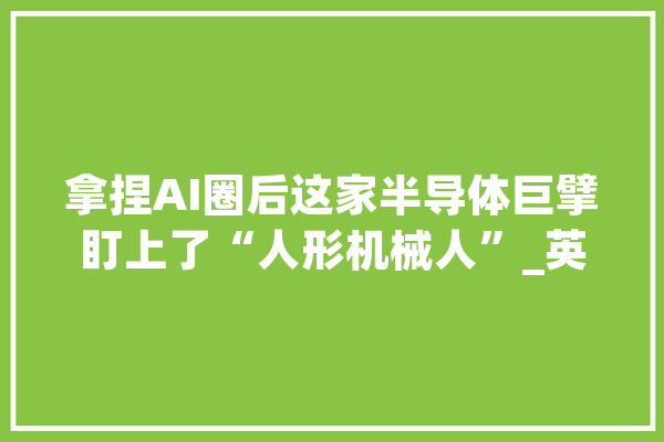 拿捏AI圈后这家半导体巨擘盯上了“人形机械人”_英伟_机械人 文字写作