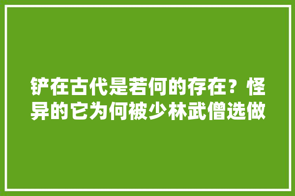 铲在古代是若何的存在？怪异的它为何被少林武僧选做贴身武器？_武器_战斗