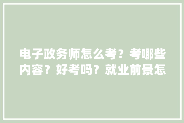 电子政务师怎么考？考哪些内容？好考吗？就业前景怎么样？_电子政务_测验 绘影字幕