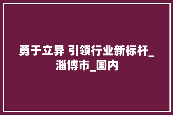 勇于立异 引领行业新标杆_淄博市_国内 计算机