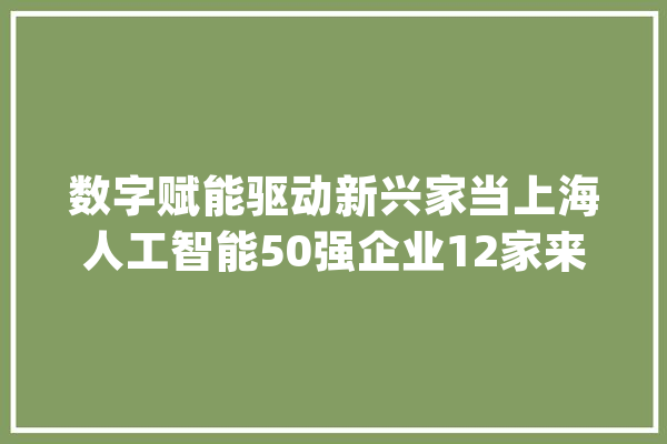 数字赋能驱动新兴家当上海人工智能50强企业12家来自张江_家当_人工智能