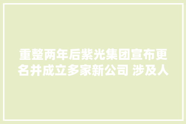 重整两年后紫光集团宣布更名并成立多家新公司 涉及人工智能、存储等领域_紫光_团体 绘影字幕