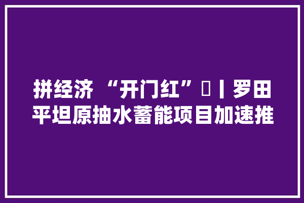 拼经济 “开门红”㉕丨罗田平坦原抽水蓄能项目加速推进_罗田_平展 智能写作