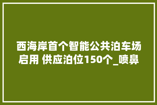 西海岸首个智能公共泊车场启用 供应泊位150个_喷鼻江_青岛