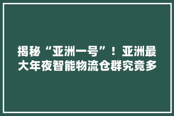 揭秘“亚洲一号”！亚洲最大年夜智能物流仓群究竟多硬核_亚洲_智能 智能助手