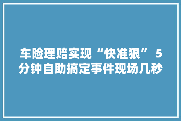 车险理赔实现“快准狠” 5分钟自助搞定事件现场几秒钟智能查勘定损_教师_师长