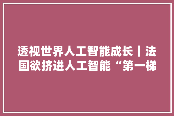 透视世界人工智能成长｜法国欲挤进人工智能“第一梯队”_人工智能_法国