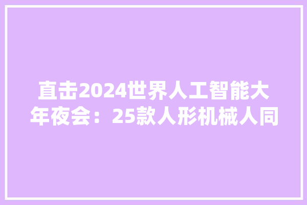 直击2024世界人工智能大年夜会：25款人形机械人同台比拼_机械人_人形 绘影字幕