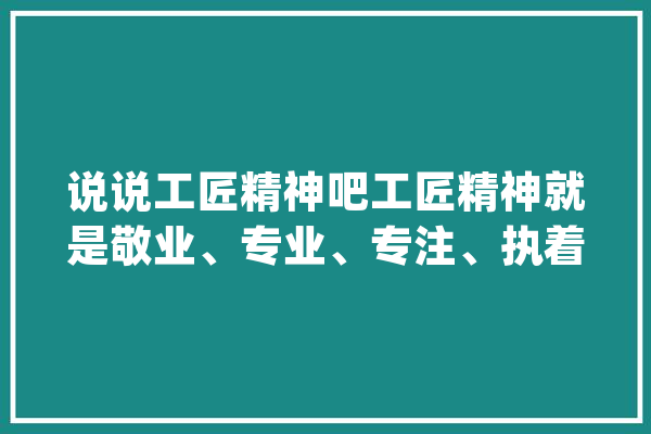说说工匠精神吧工匠精神就是敬业、专业、专注、执着_工匠_精力