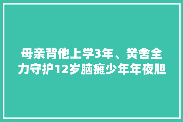 母亲背他上学3年、黉舍全力守护12岁脑瘫少年年夜胆追梦人工智能_儿子_孩子 绘影字幕