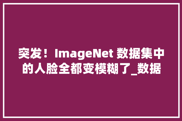 突发！ImageNet 数据集中的人脸全都变模糊了_数据_人工智能 计算机