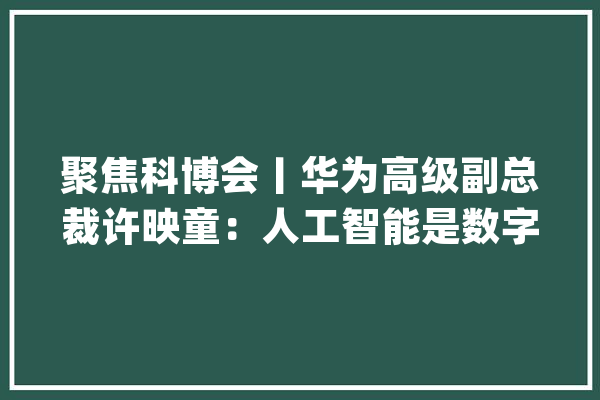 聚焦科博会丨华为高级副总裁许映童：人工智能是数字经济成长的核心动力_人工智能_家当 AI简讯