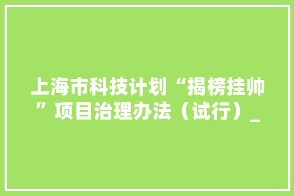 上海市科技计划“揭榜挂帅”项目治理办法（试行）_项目_技巧