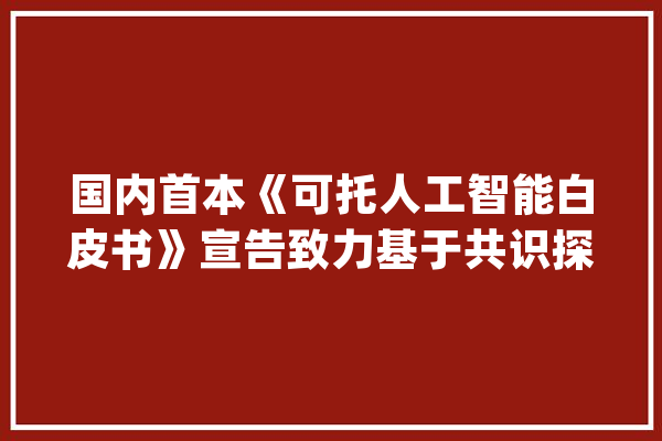 国内首本《可托人工智能白皮书》宣告致力基于共识探索人工智能家当和学术研究_人工智能_可托