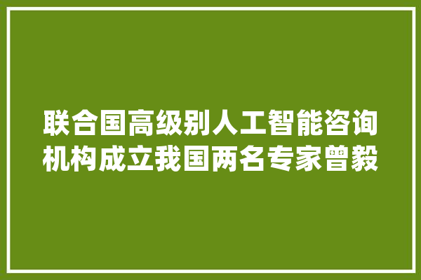 联合国高级别人工智能咨询机构成立我国两名专家曾毅、张凌寒入选专家组成员_人工智能_技巧