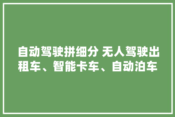 自动驾驶拼细分 无人驾驶出租车、智能卡车、自动泊车是三大年夜倾向_无人驾驶_卡车