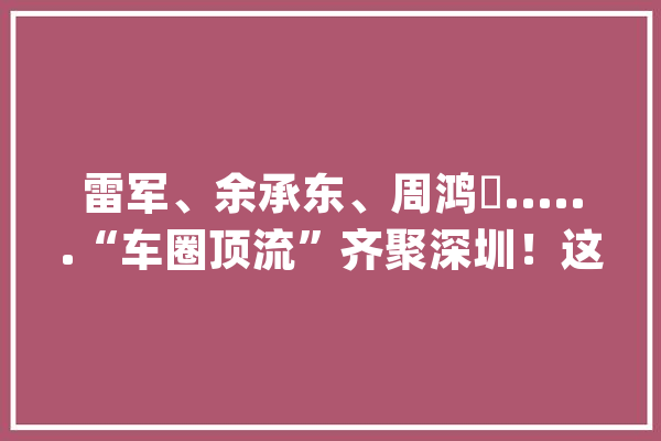 雷军、余承东、周鸿祎......“车圈顶流”齐聚深圳！这场论坛风头直逼粤港澳大年夜湾区车展_汽车_小米