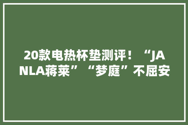20款电热杯垫测评！“JANLA蒋莱”“梦庭”不屈安_样品_杯垫
