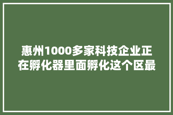惠州1000多家科技企业正在孵化器里面孵化这个区最多_孵化器_惠州 智能写作