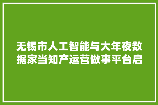 无锡市人工智能与大年夜数据家当知产运营做事平台启动_常识产权_家当 文字写作