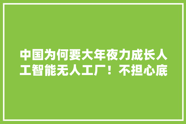 中国为何要大年夜力成长人工智能无人工厂！不担心底层人会失落业吗？_全球_中国 云服务