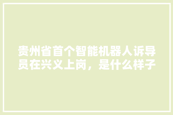 贵州省首个智能机器人诉导员在兴义上岗，是什么样子的,兴义人工智能招聘