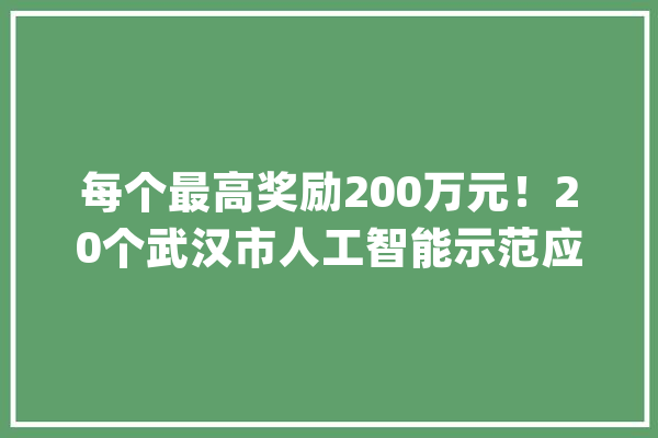 每个最高奖励200万元！20个武汉市人工智能示范应用场景公布_人工智能_智能 AI简讯