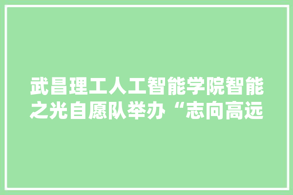 武昌理工人工智能学院智能之光自愿队举办“志向高远”主题班会_本身的_妄想