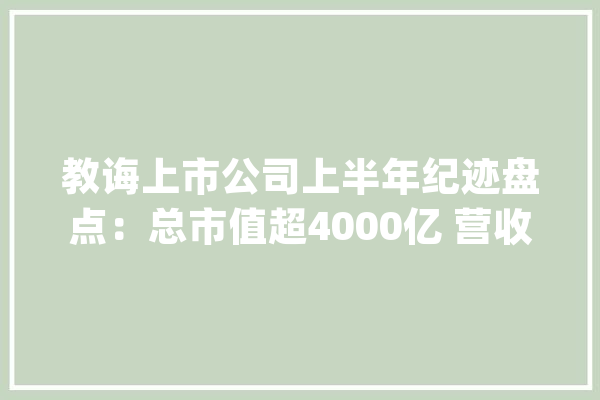 教诲上市公司上半年纪迹盘点：总市值超4000亿 营收分化排名轮替_公司_收入 科技快讯
